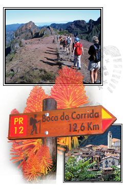wandelreis Madeira, 8 dagen