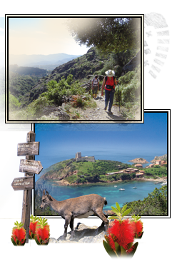 Wandelreis Corsica, 8 dagen