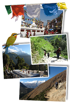 Djoser: Wandel- en fietsvakantie Nepal, 18 dagen