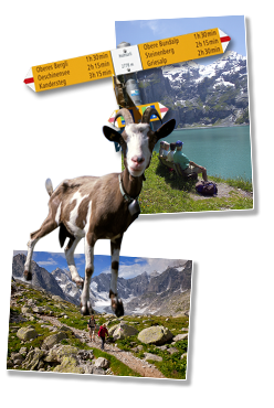 Djoser: Wandelvakantie Zwitserland, 8 dagen